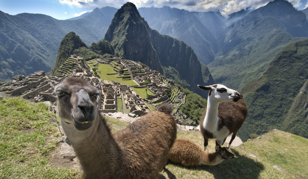 Machu Picchu